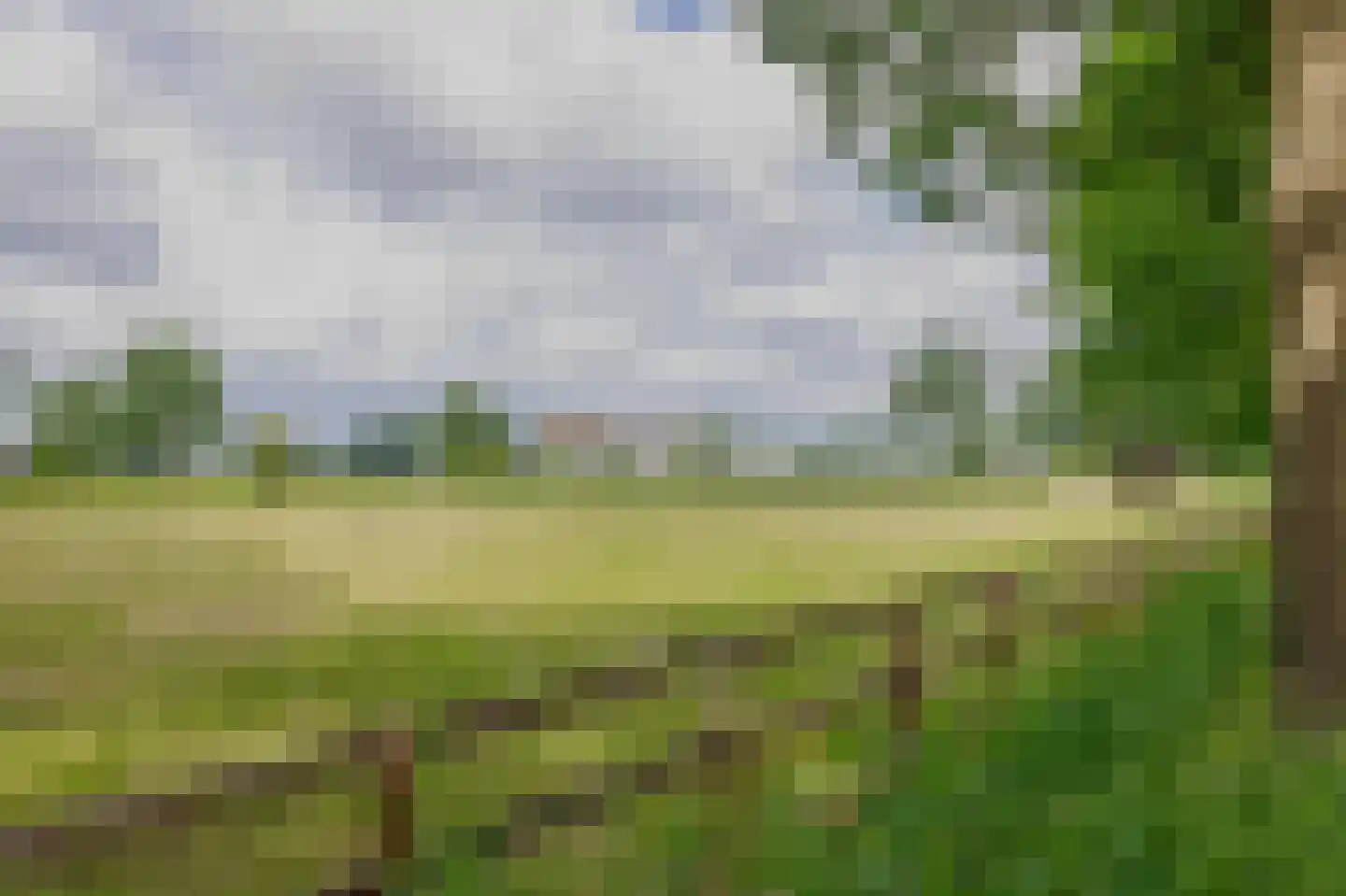 Plataanstraat 6 Nuenen thumbnail 58