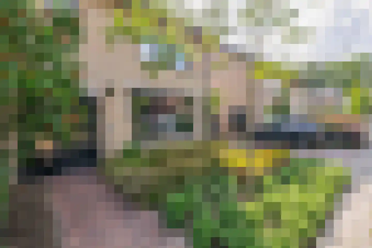 Plataanstraat 6 Nuenen thumbnail 7