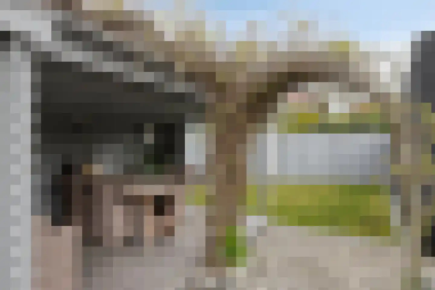 Plataanstraat 6 Sas van Gent thumbnail 14