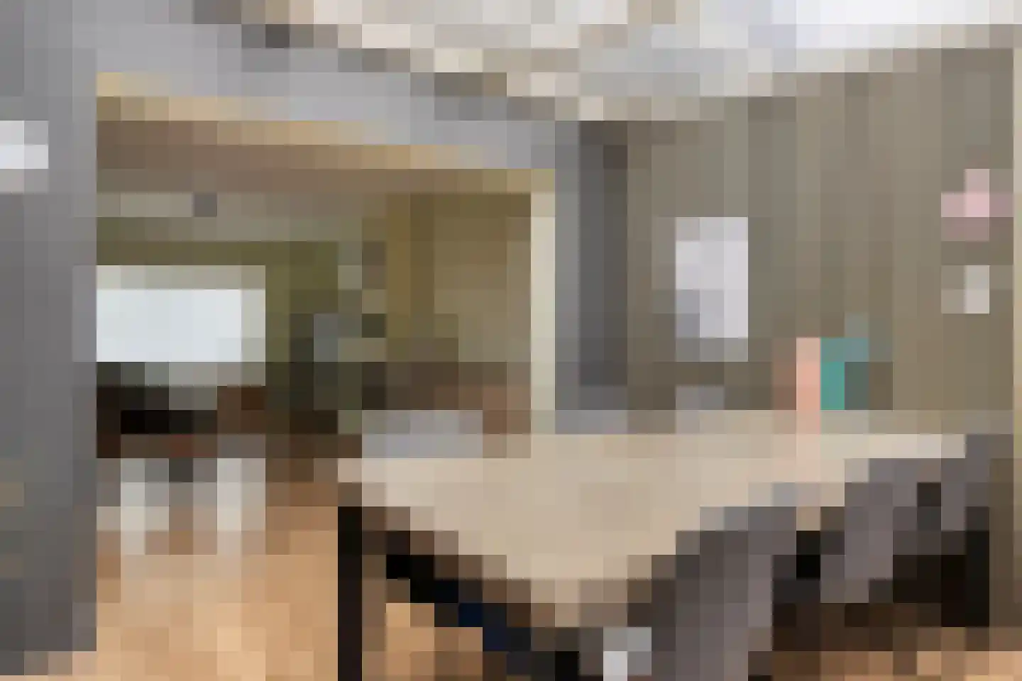 Plataanstraat 6 Sas van Gent thumbnail 5