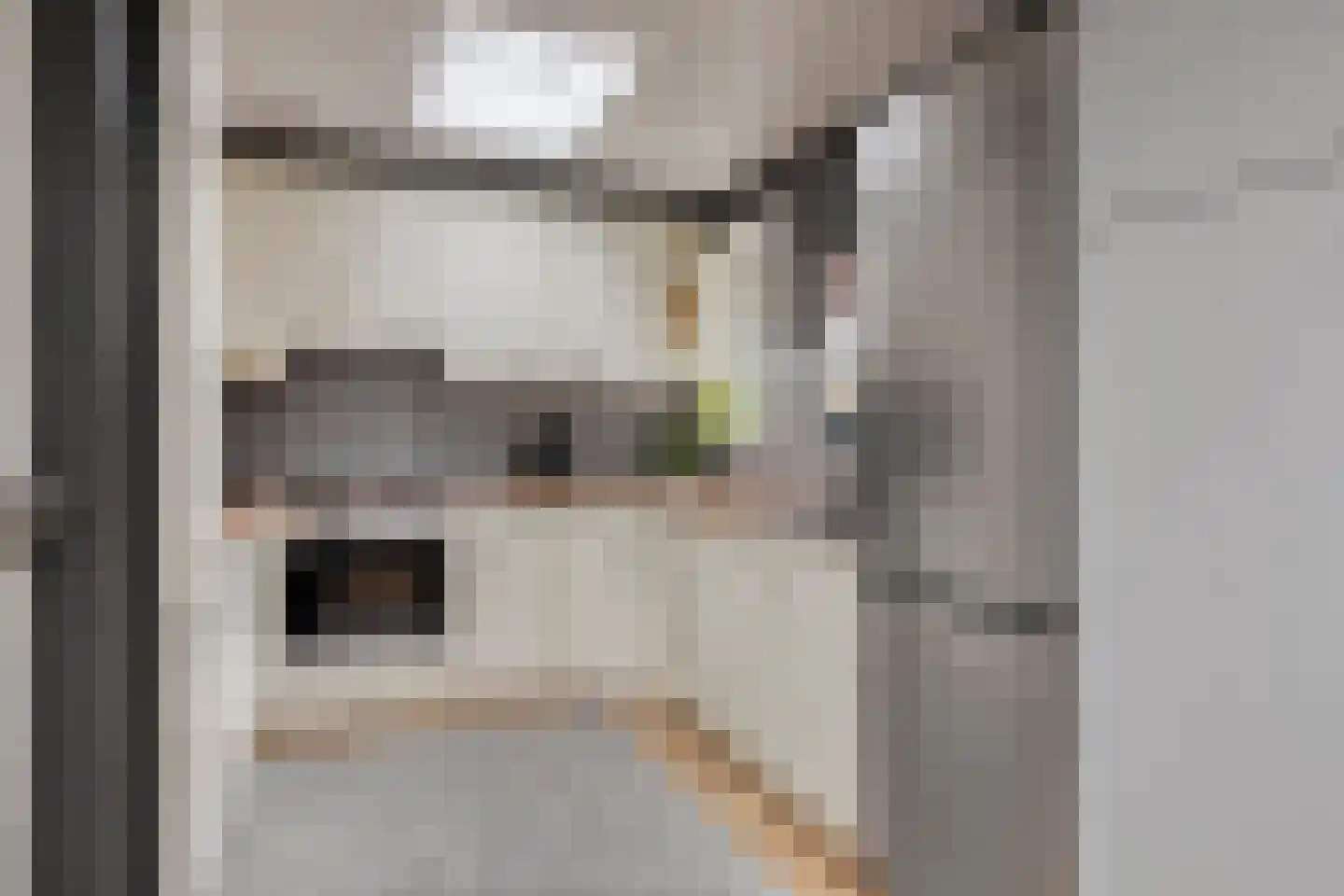 Plataanstraat 6 Sas van Gent thumbnail 6