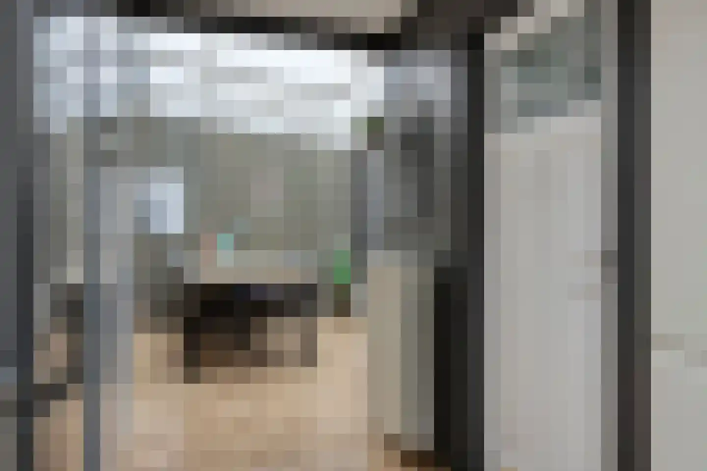 Plataanstraat 6 Sas van Gent thumbnail 7