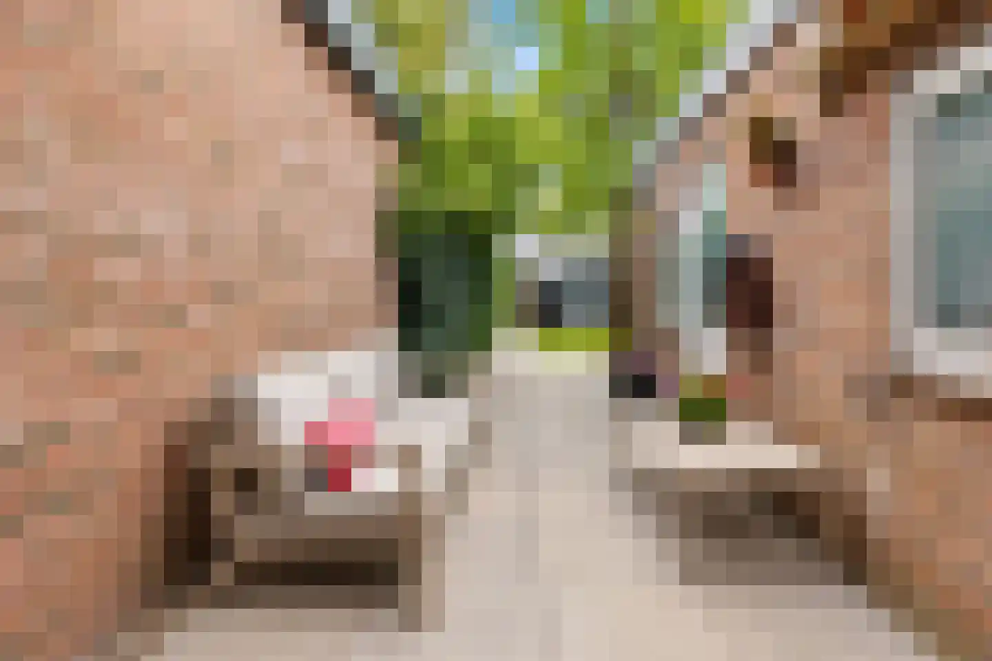 Plataanstraat 66 Haarlem thumbnail 27