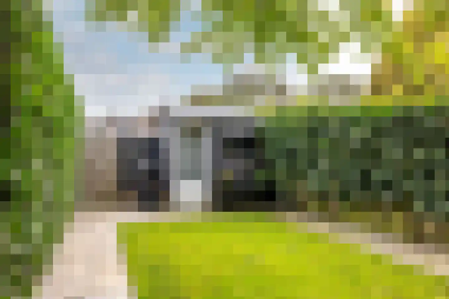 Plataanstraat 66 Haarlem thumbnail 4
