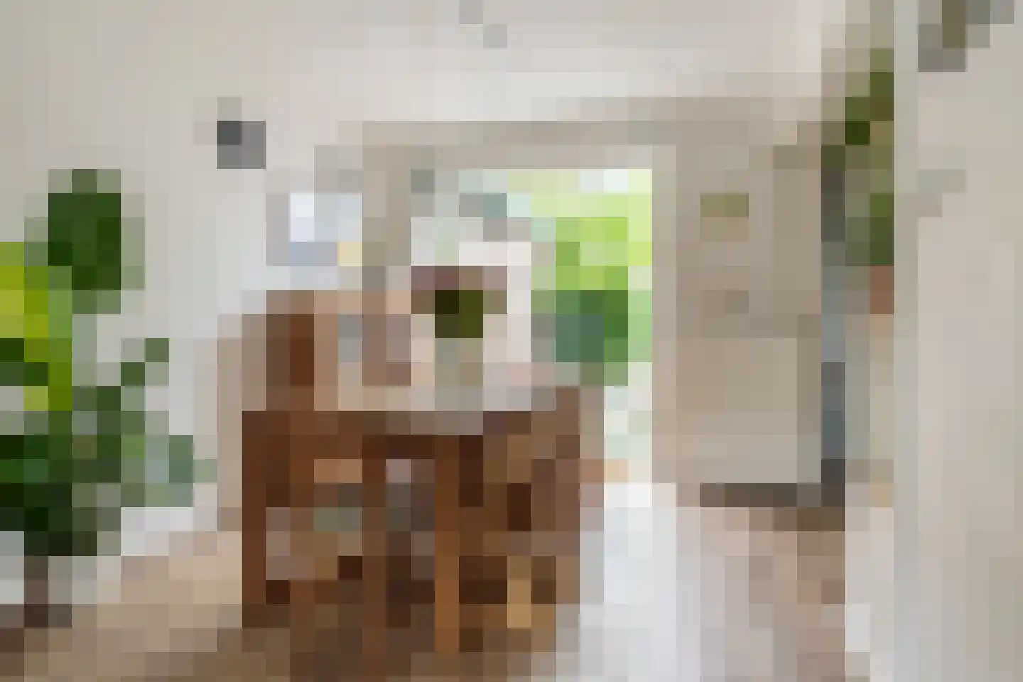 Plataanstraat 66 Haarlem thumbnail 9