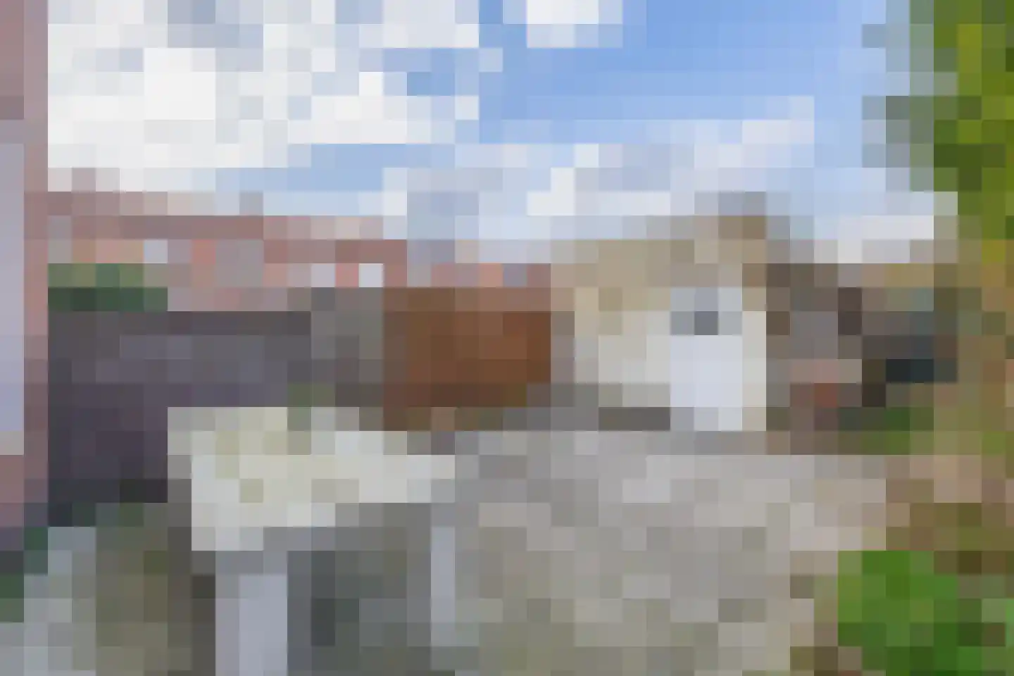 Plataanstraat 80 Tegelen thumbnail 15