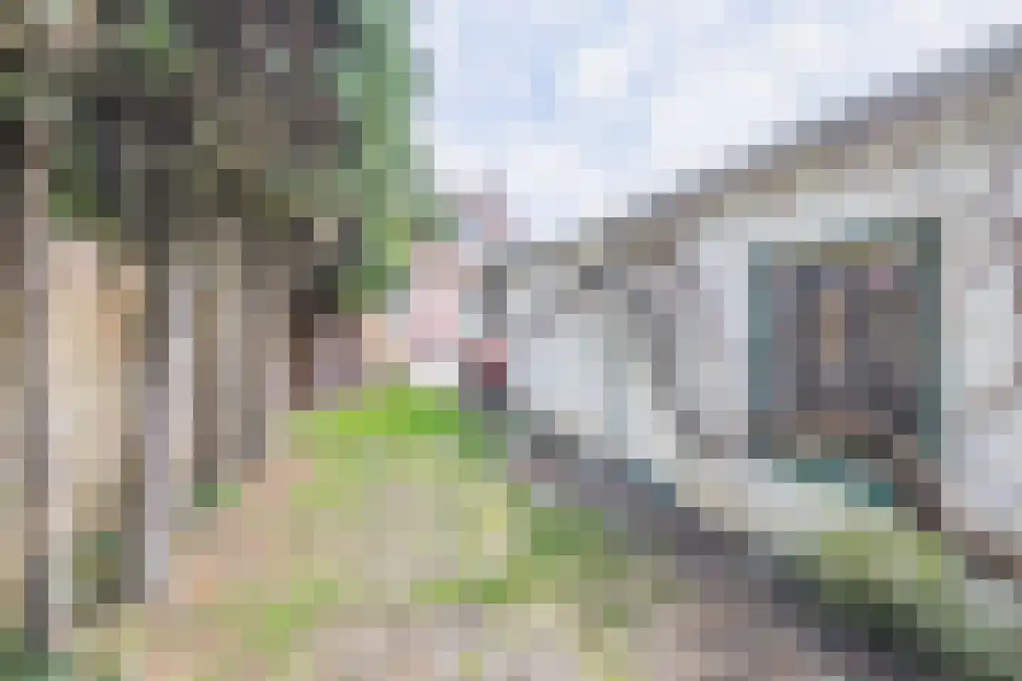 Plataanstraat 80 Tegelen thumbnail 19