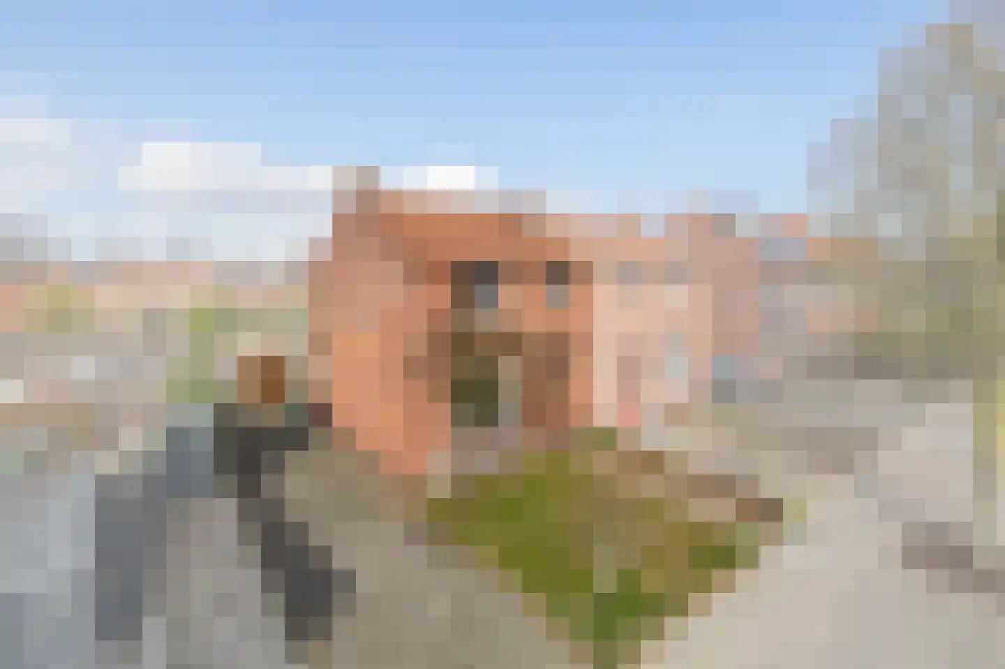 Plataanstraat 80 Tegelen thumbnail 21