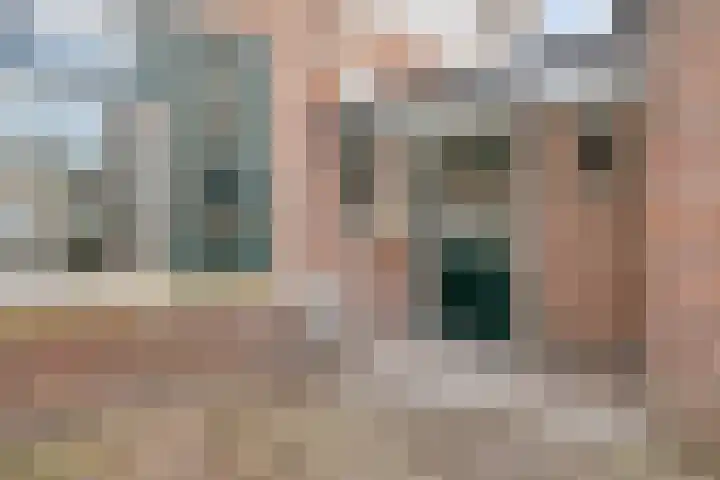 Plataanstraat 82 Bergen op Zoom thumbnail 30