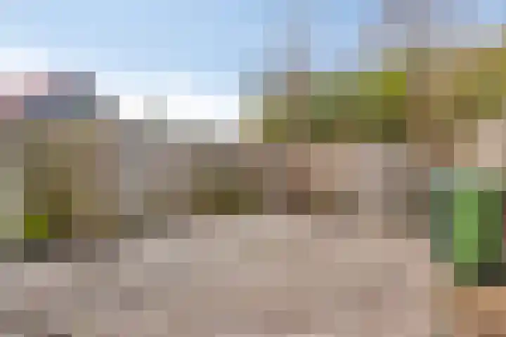 Plataanstraat 82 Bergen op Zoom thumbnail 36