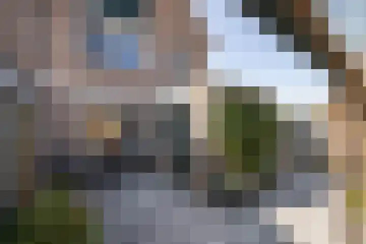 Plataanstraat 86 Hengelo thumbnail 19