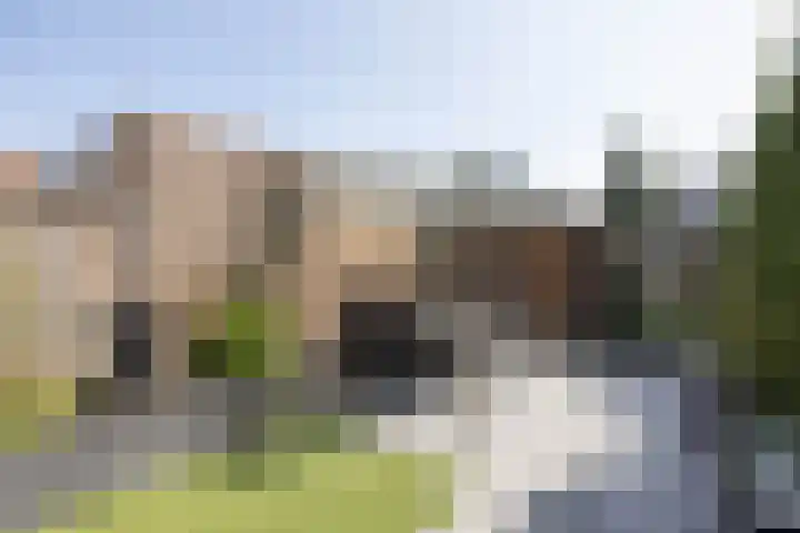 Plataanstraat 86 Hengelo thumbnail 21