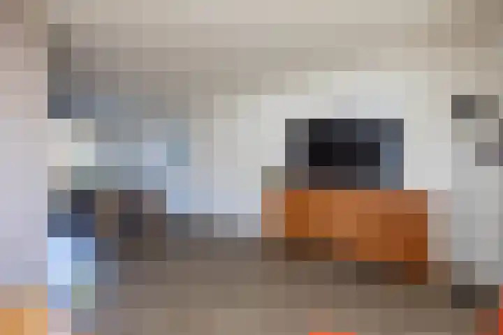 Plataanstraat 86 Hengelo thumbnail 5
