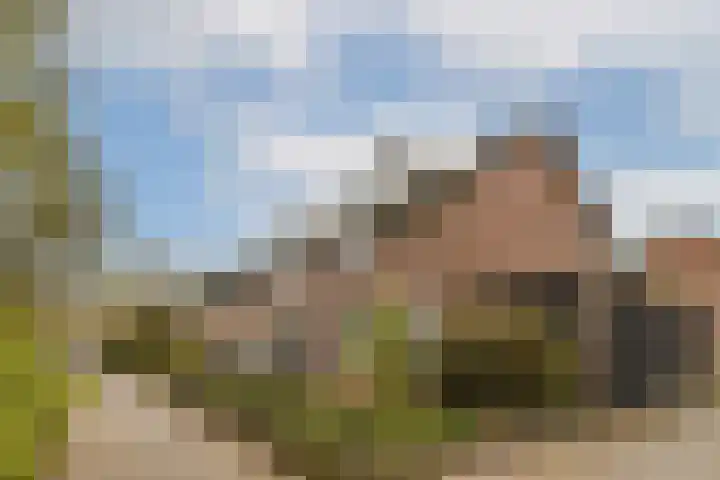 Plataanstraat 9 Gouda thumbnail 6