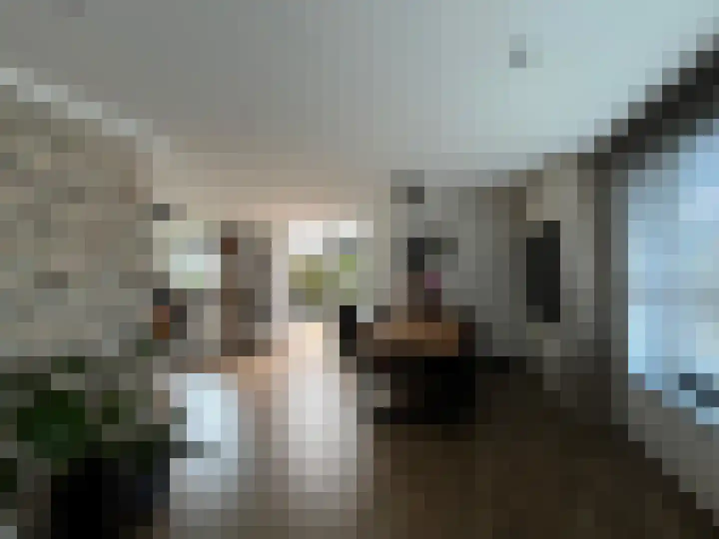 Plataanstraat 9 Venray thumbnail 13