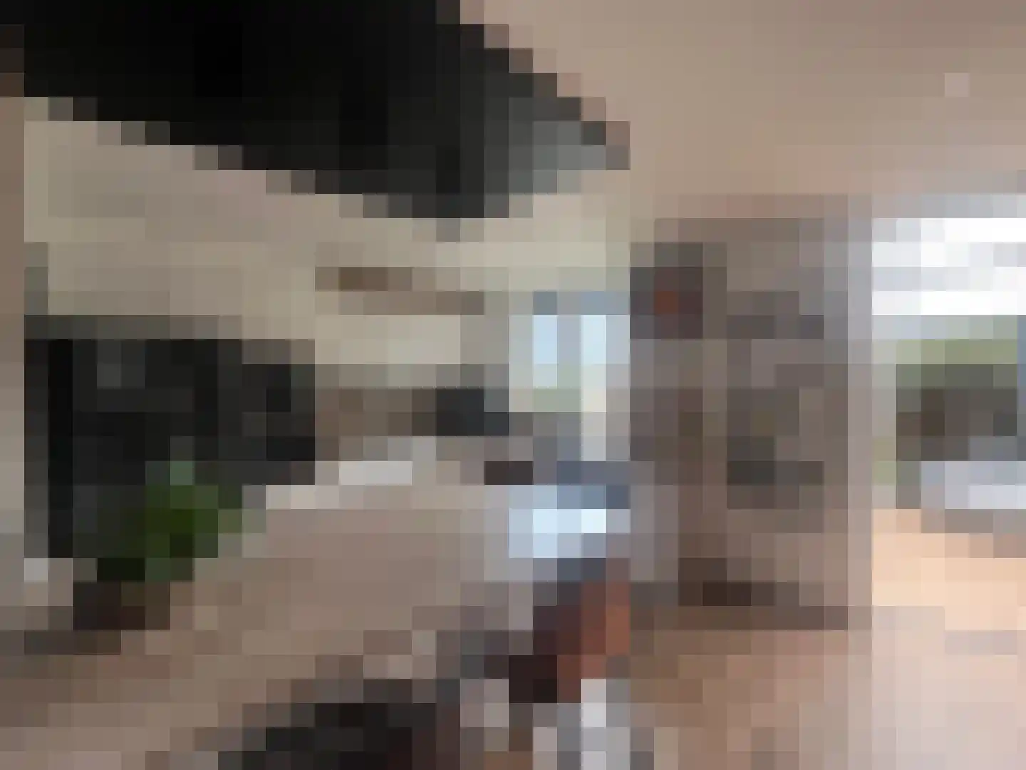 Plataanstraat 9 Venray thumbnail 14