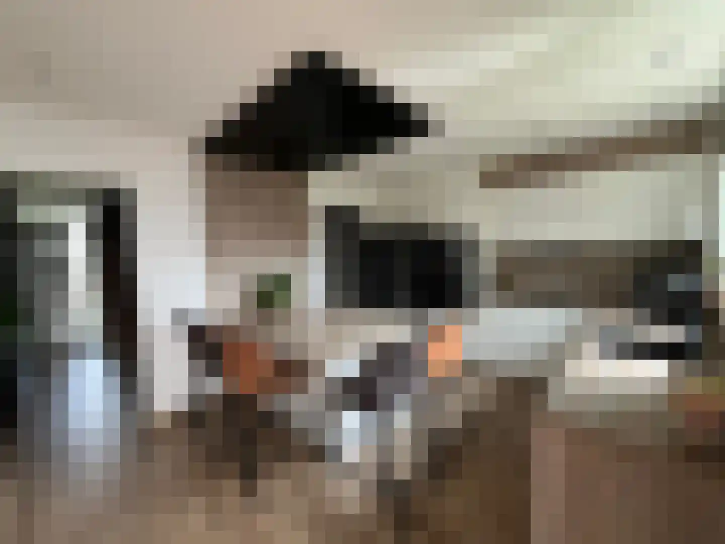 Plataanstraat 9 Venray thumbnail 15