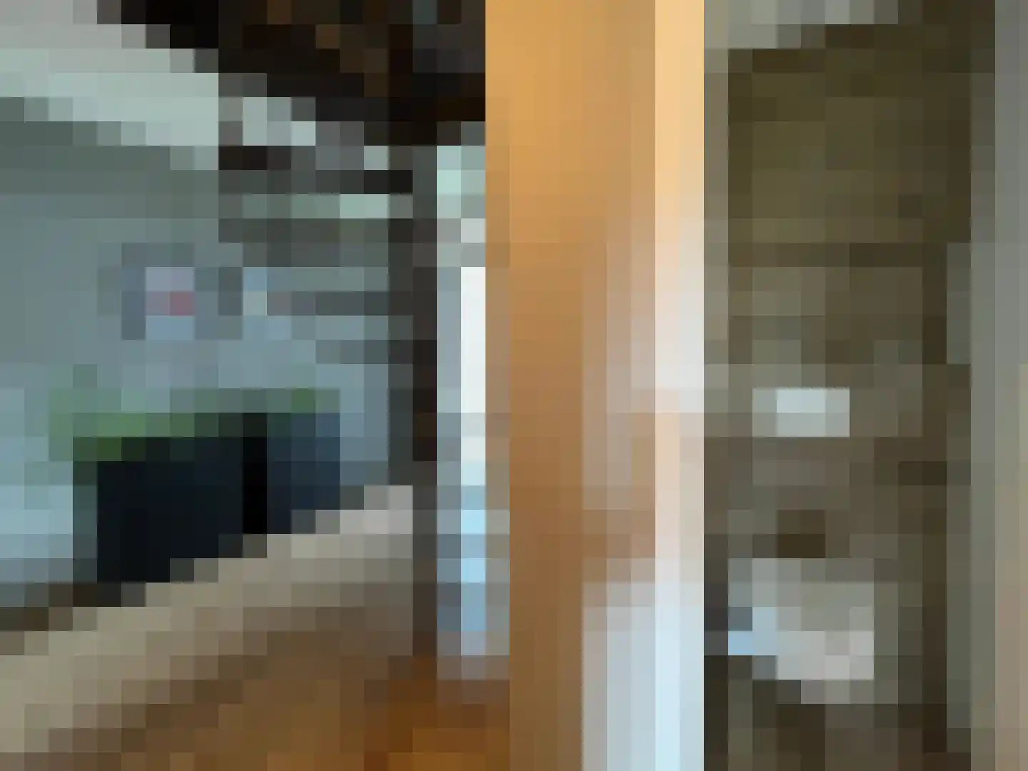 Plataanstraat 9 Venray thumbnail 17