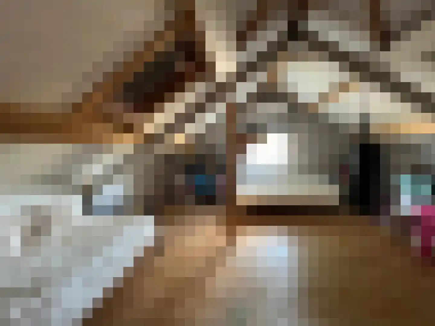 Plataanstraat 9 Venray thumbnail 25