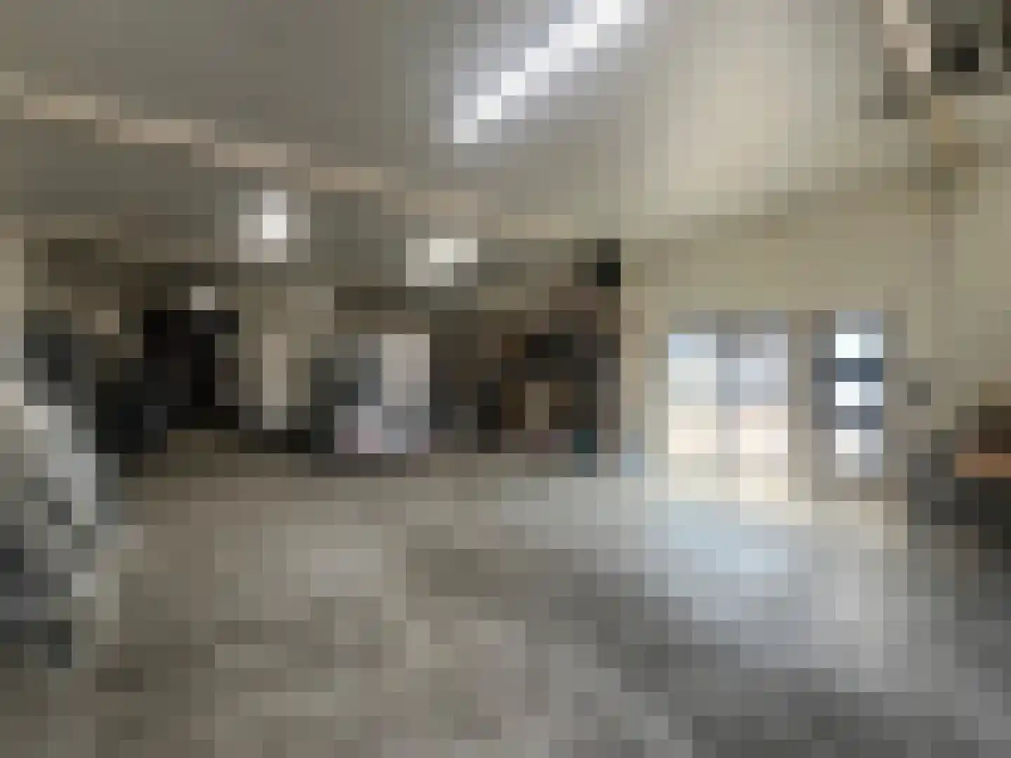 Plataanstraat 9 Venray thumbnail 30