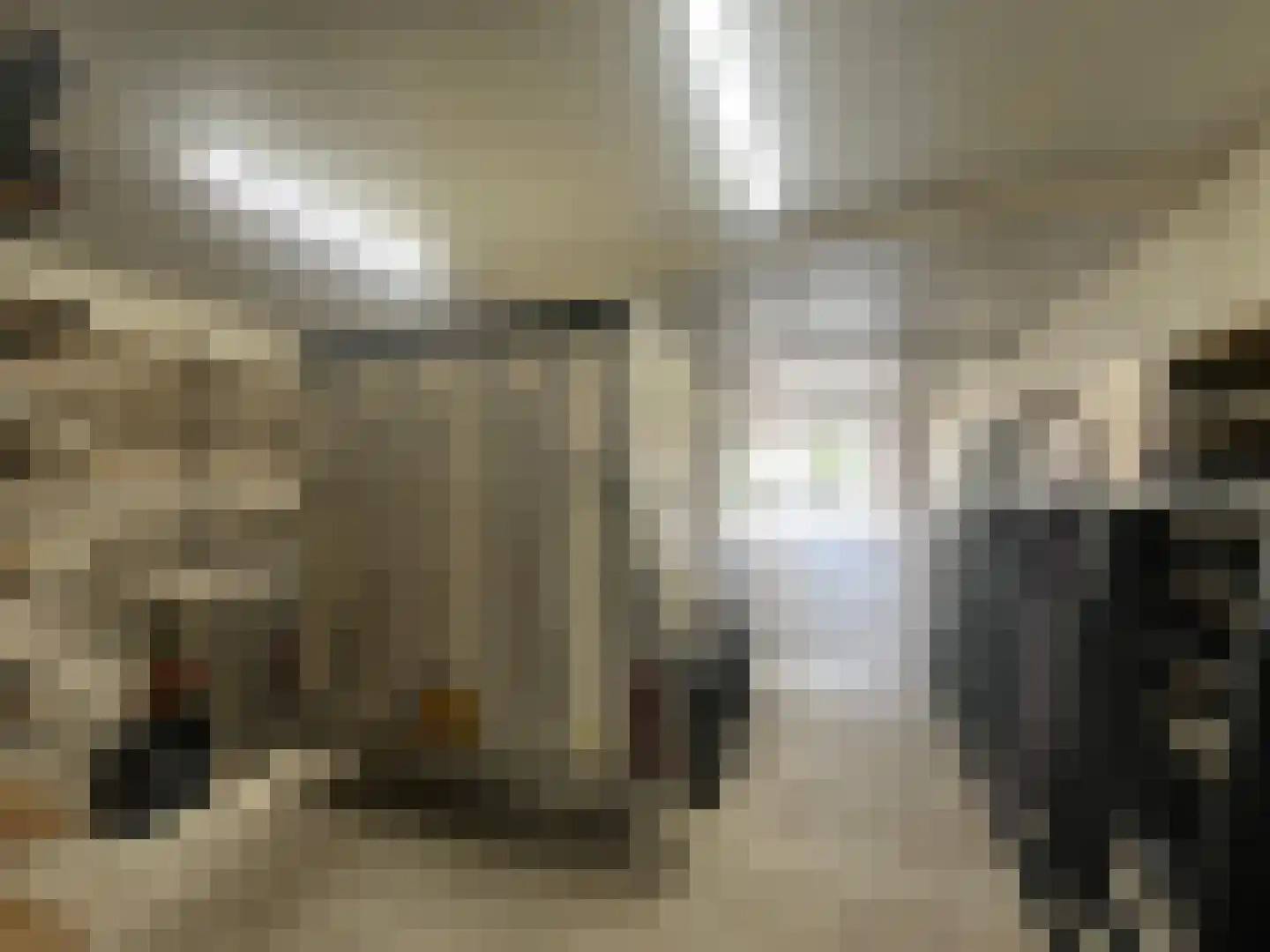 Plataanstraat 9 Venray thumbnail 31