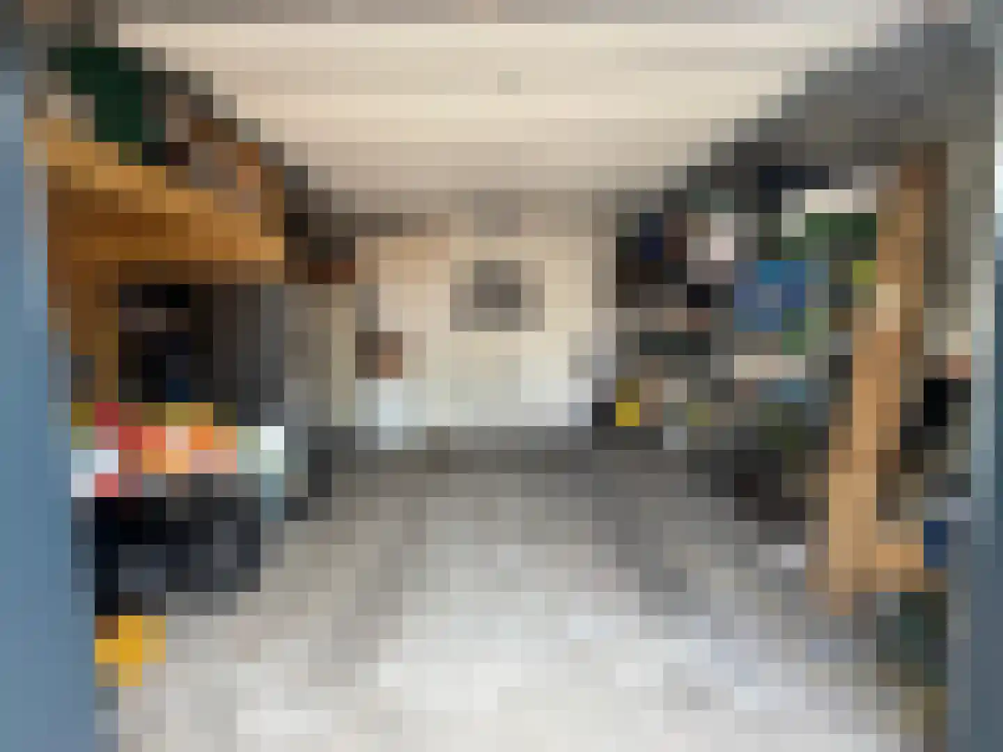 Plataanstraat 9 Venray thumbnail 32
