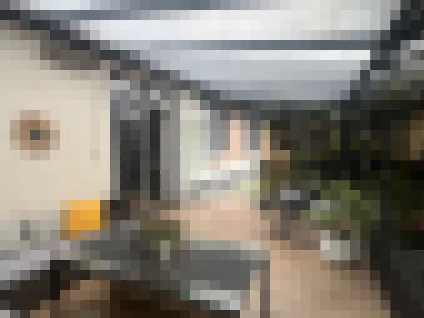 Plataanstraat 9 Venray thumbnail 5