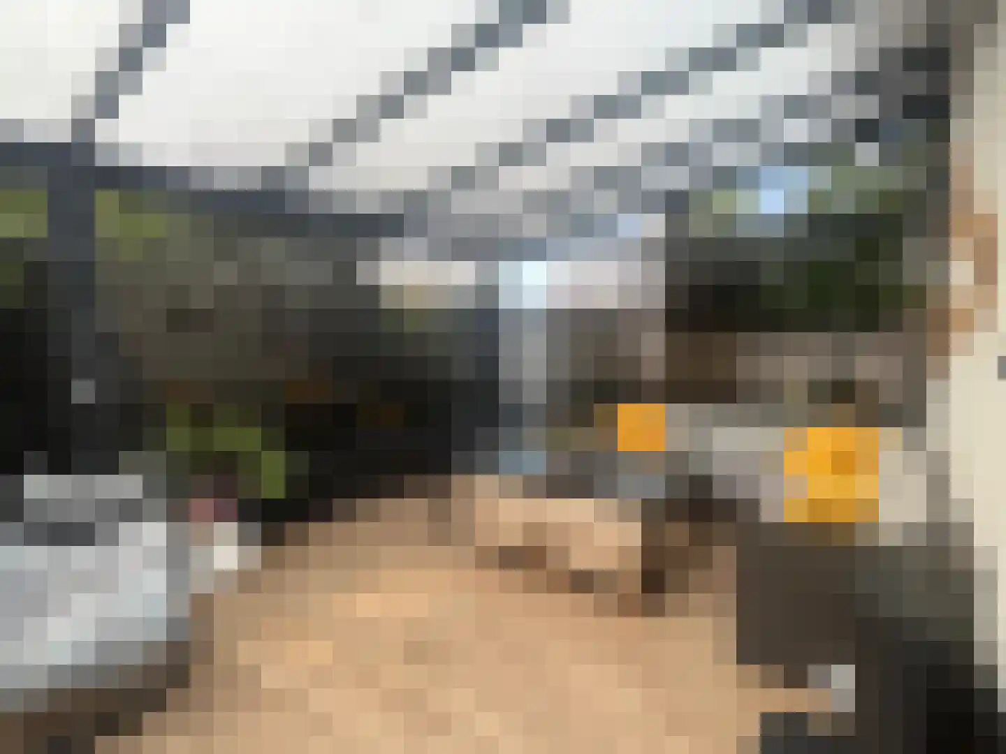Plataanstraat 9 Venray thumbnail 6