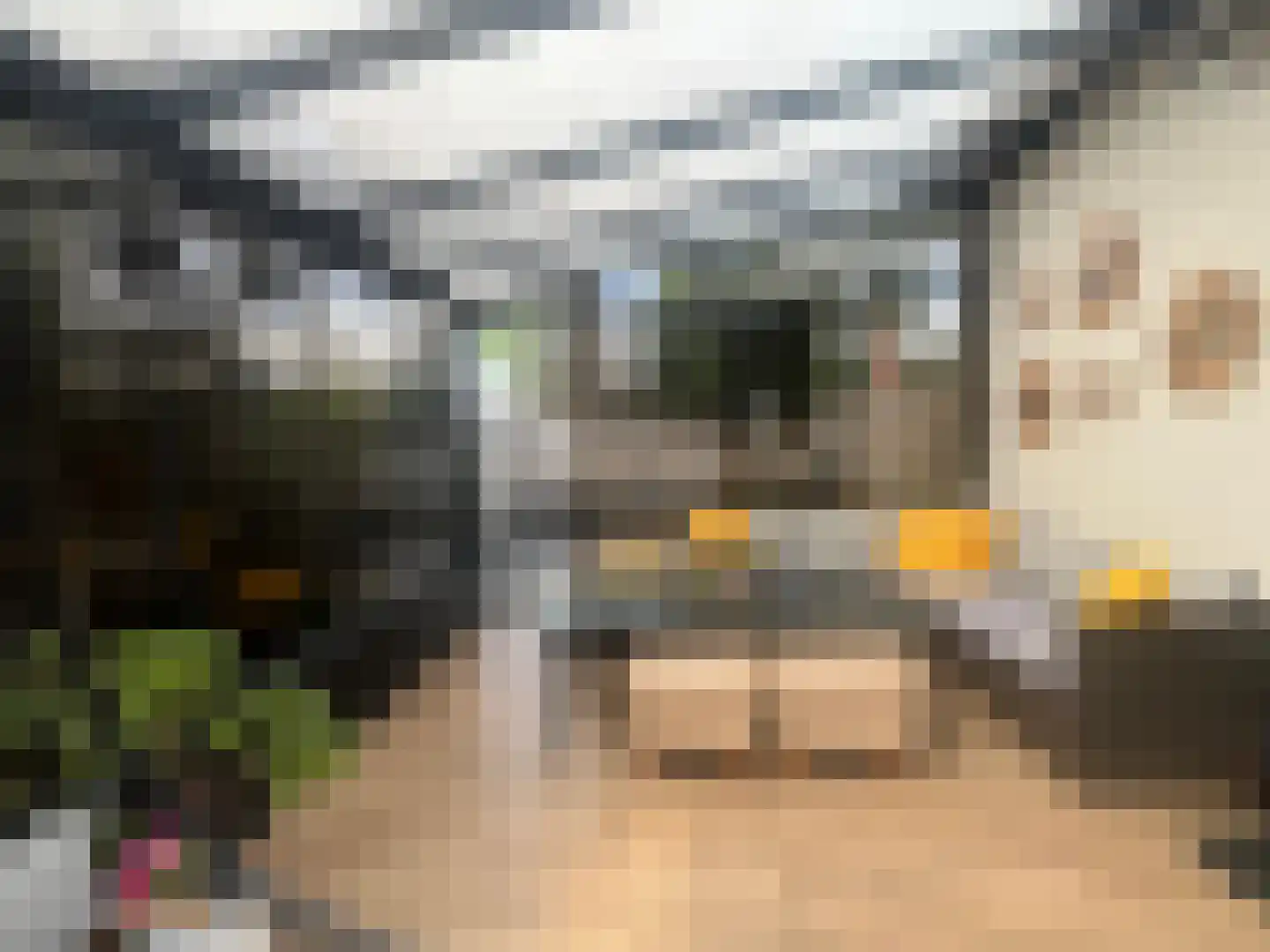 Plataanstraat 9 Venray thumbnail 9
