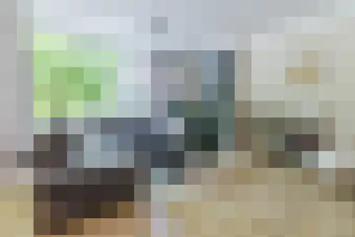 Plataanweg 10 Zaandijk thumbnail 11