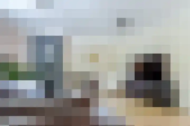 Plataanweg 10 Zaandijk thumbnail 12