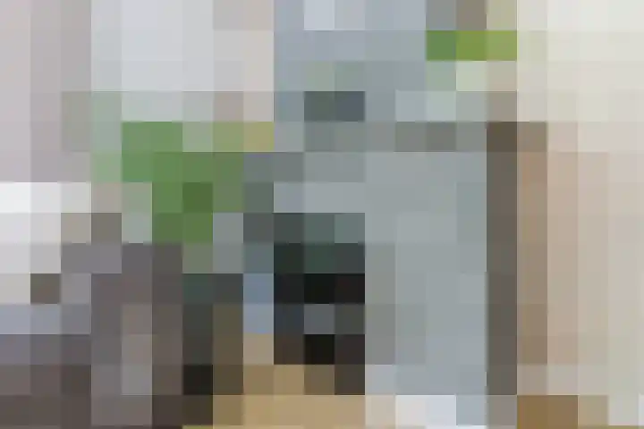 Plataanweg 10 Zaandijk thumbnail 13
