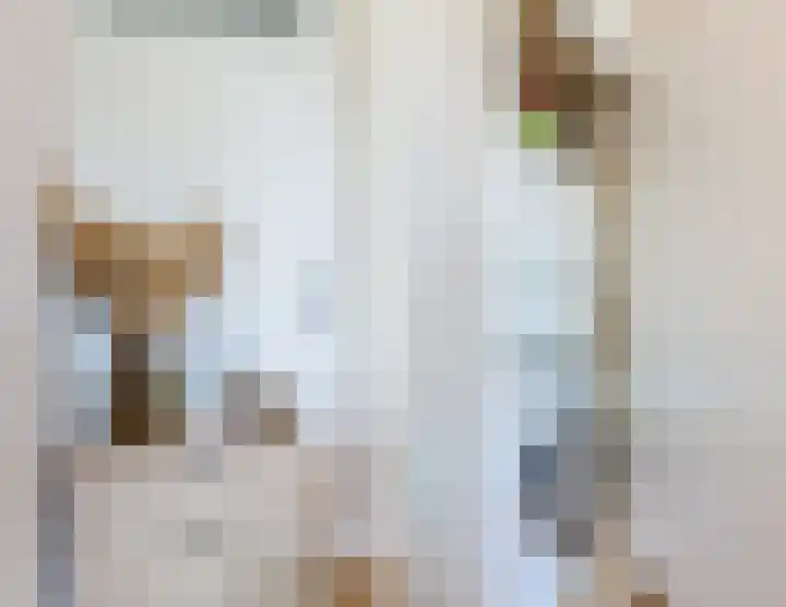 Plataanweg 10 Zaandijk thumbnail 18