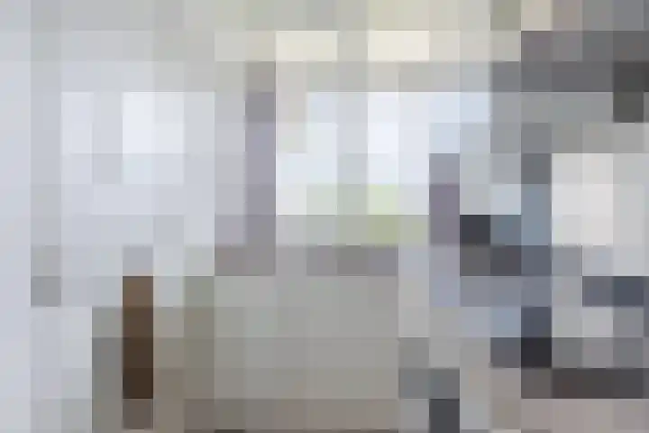 Plataanweg 10 Zaandijk thumbnail 19