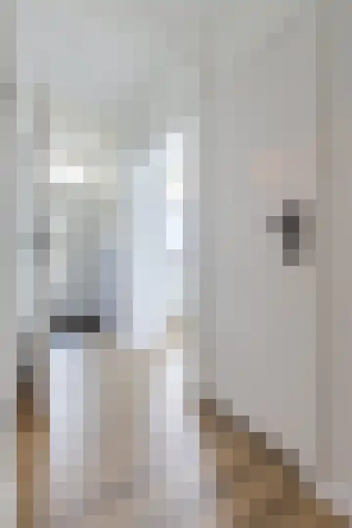 Plataanweg 10 Zaandijk thumbnail 22