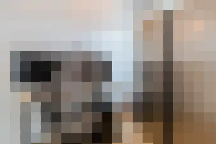 Plataanweg 10 Zaandijk thumbnail 26