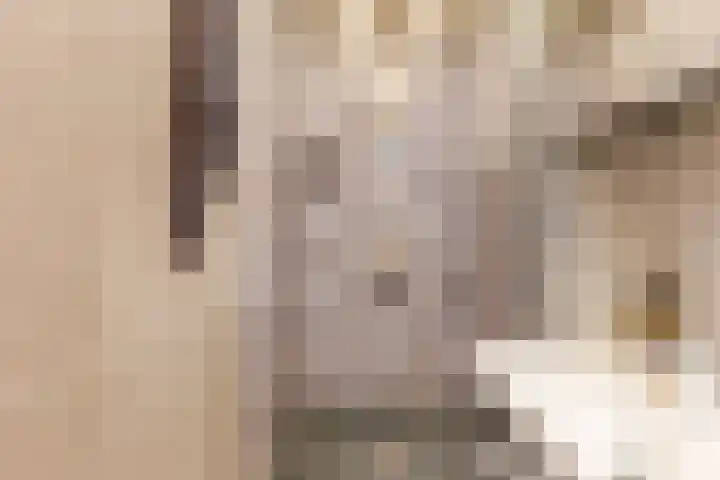 Plataanweg 10 Zaandijk thumbnail 28