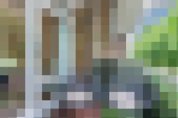 Plataanweg 10 Zaandijk thumbnail 30