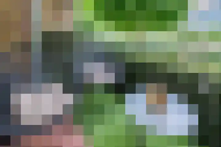 Plataanweg 10 Zaandijk thumbnail 31