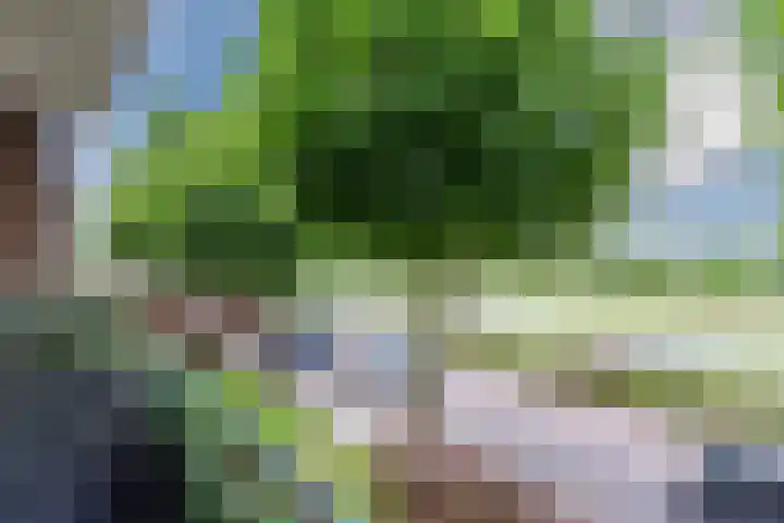 Plataanweg 10 Zaandijk thumbnail 32