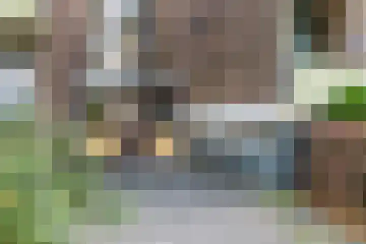 Plataanweg 10 Zaandijk thumbnail 34