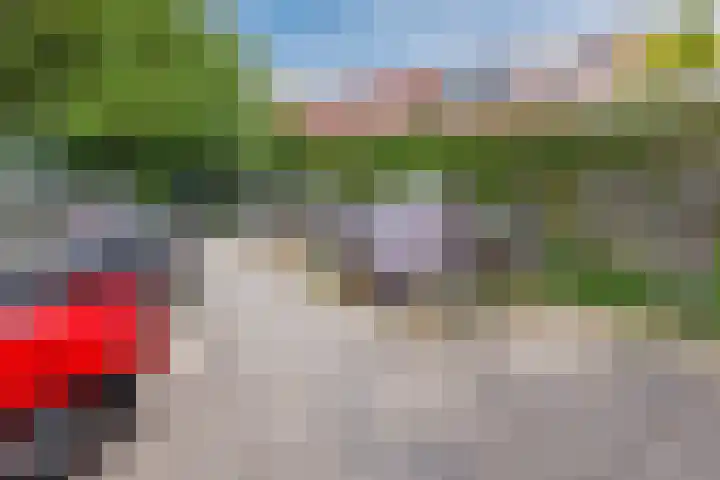 Plataanweg 10 Zaandijk thumbnail 36