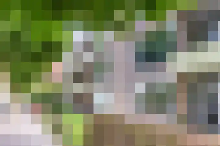 Plataanweg 10 Zaandijk thumbnail 37