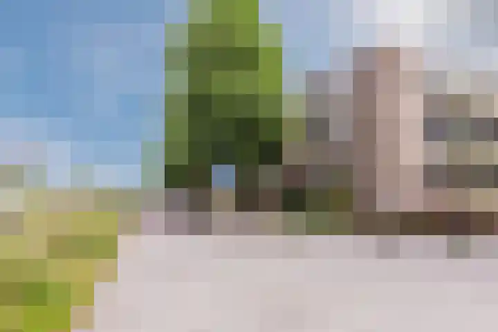 Plataanweg 10 Zaandijk thumbnail 39