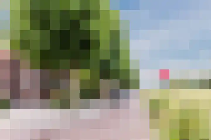 Plataanweg 10 Zaandijk thumbnail 40