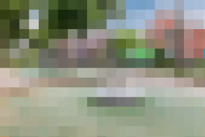 Plataanweg 10 Zaandijk thumbnail 41