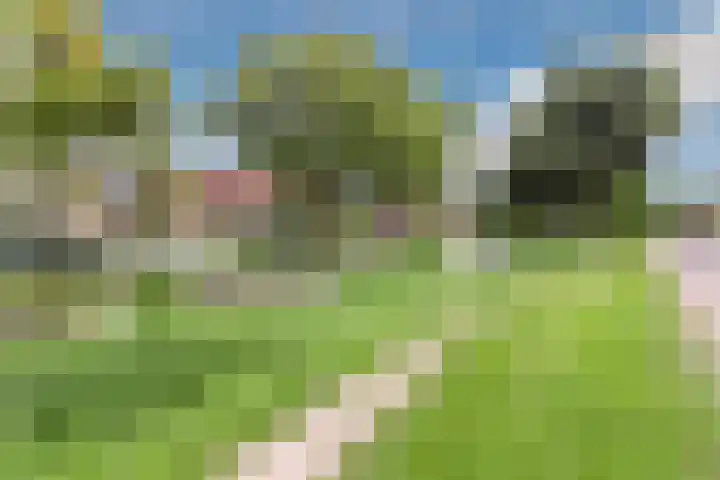 Plataanweg 10 Zaandijk thumbnail 43