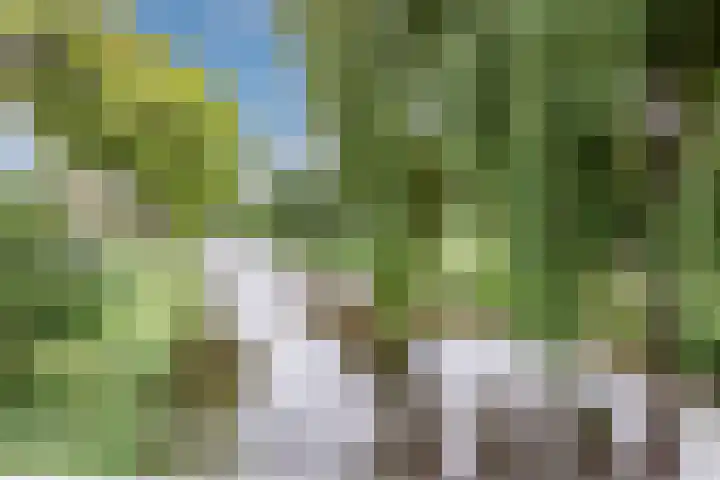 Plataanweg 10 Zaandijk thumbnail 44