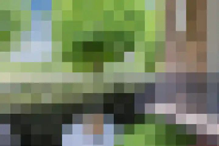 Plataanweg 10 Zaandijk thumbnail 5