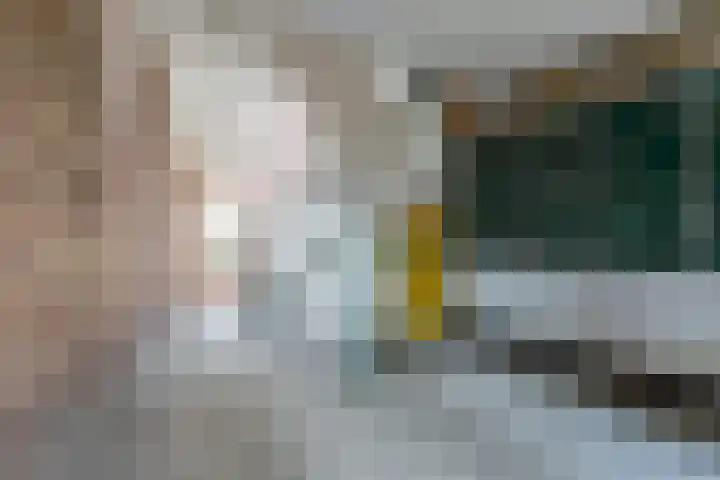 Plataanweg 10 Zaandijk thumbnail 6